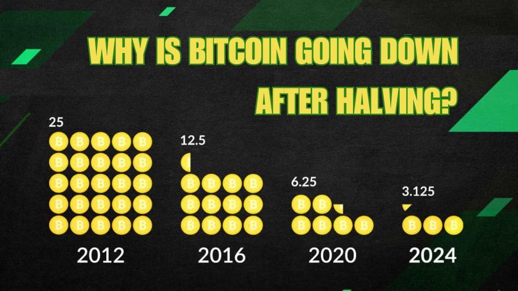 why is bitcoin going down after halving